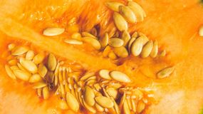 Melon to zdrowy owoc