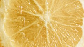 Biały grejpfrut to samo zdrowie