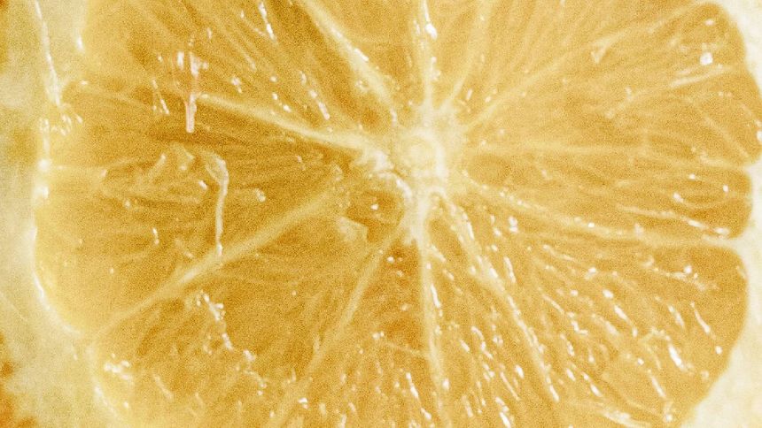 Biały grejpfrut to samo zdrowie