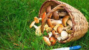 |