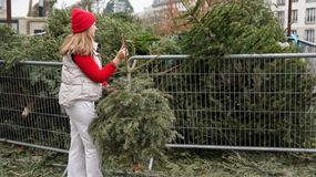 Co zrobić z choinką po świętach?
