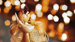 Christmas bettle, czyli symbol australijskich świąt