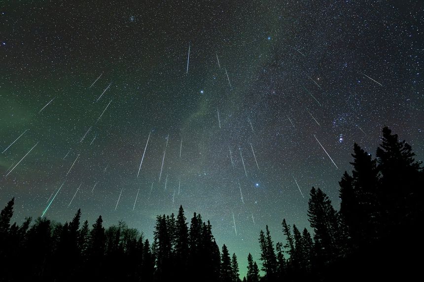 Nocne niebo pokryte gwiazdami i meteorami, w tle ciemne sylwetki drzew.