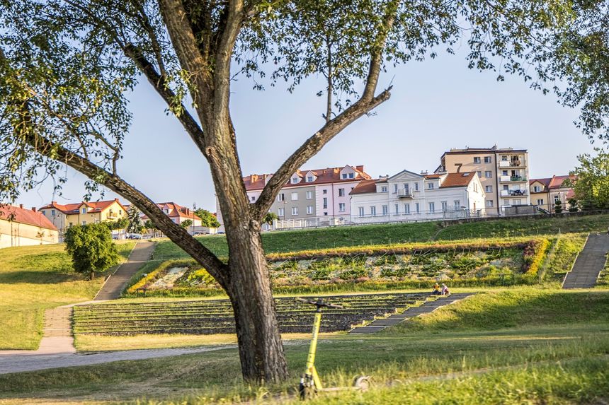 Widok na park z drzewem, schodkami i budynkami w tle. Słońce świeci na zieloną trawę.