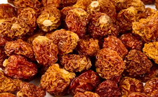 Suszone jagody inklaskie