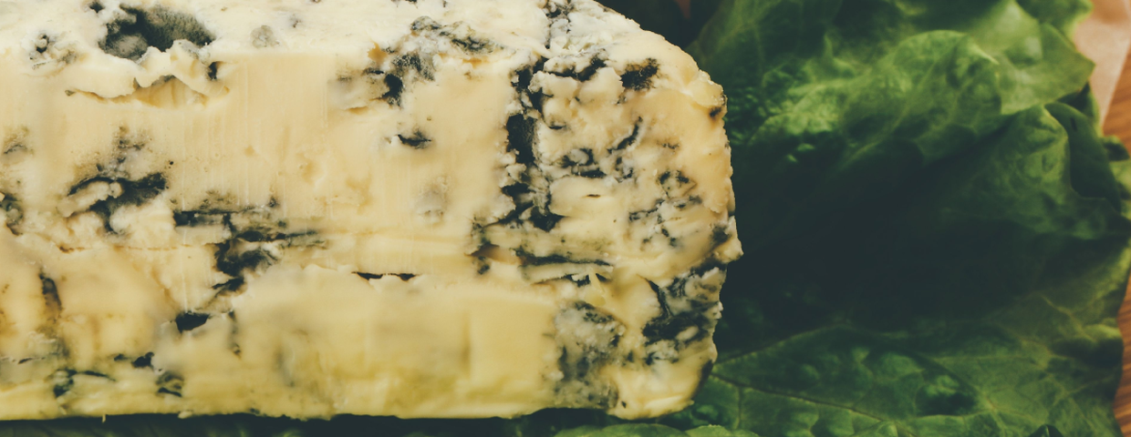Ser pleśniowy