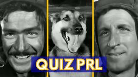 Quiz o serialu "Czterej pancerni i pies"