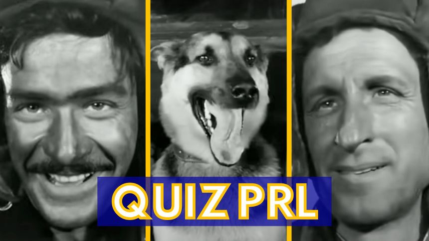 Quiz o serialu "Czterej pancerni i pies"
