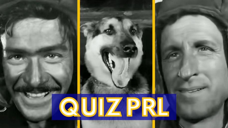 Quiz o serialu "Czterej pancerni i pies"