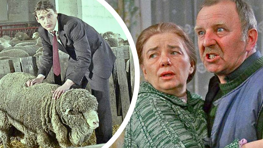 Czy problem faktycznie tkwił w baranach?