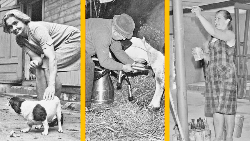 Quiz. Życie na wsi w PRL