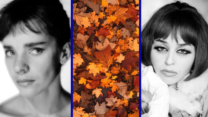 Quiz o jesiennych przebojach