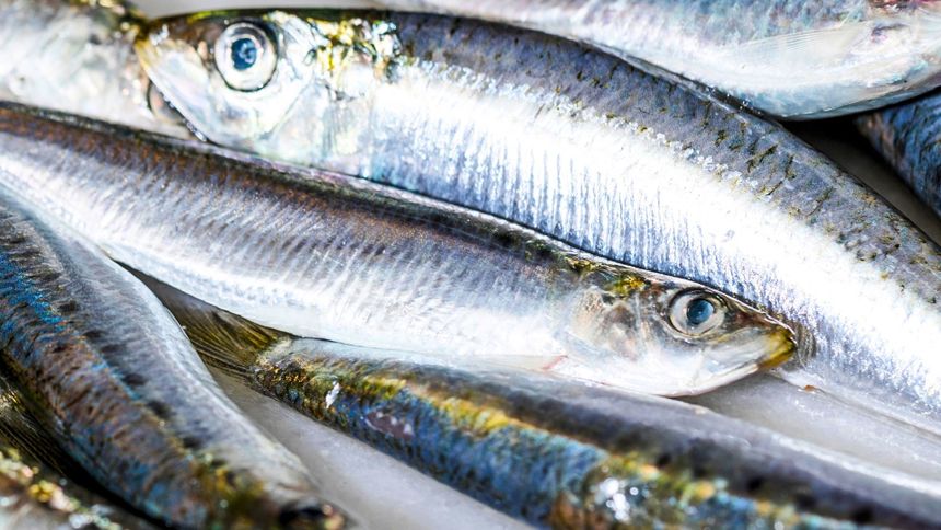 Polacy nie chcą sięgać po sardynki 