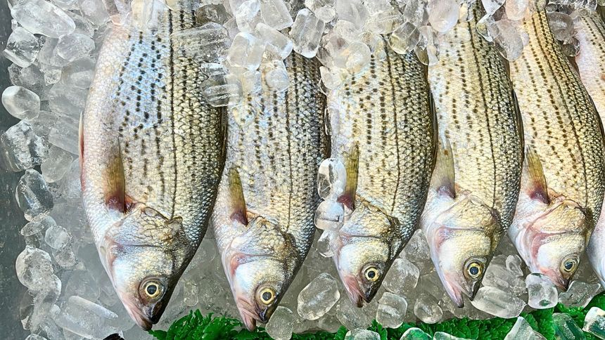 Tak można skutecznie usunąć ości z ryby