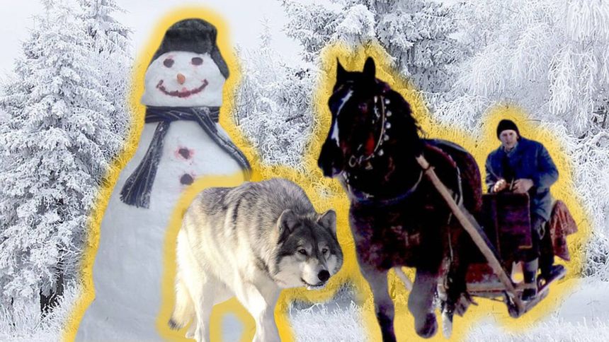 Co wiesz o zimie? 17/20 tylko dla tych, którzy kochają te porę roku [QUIZ]