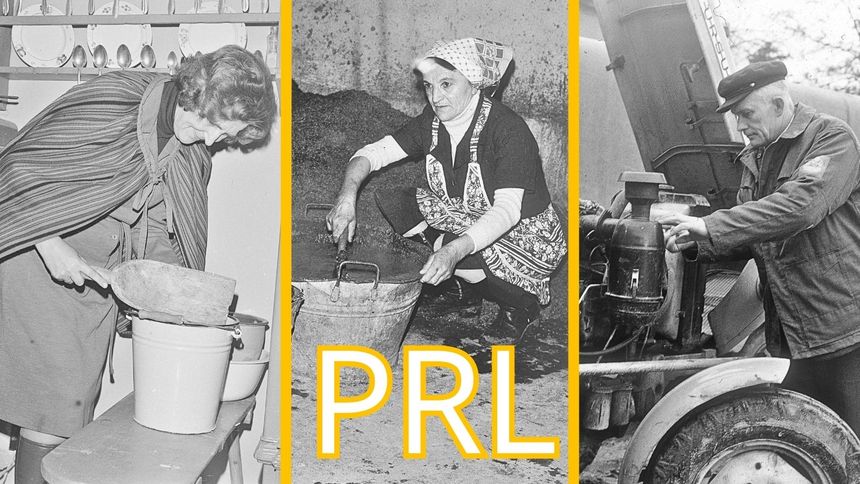 Quiz. Życiowe patenty PRL