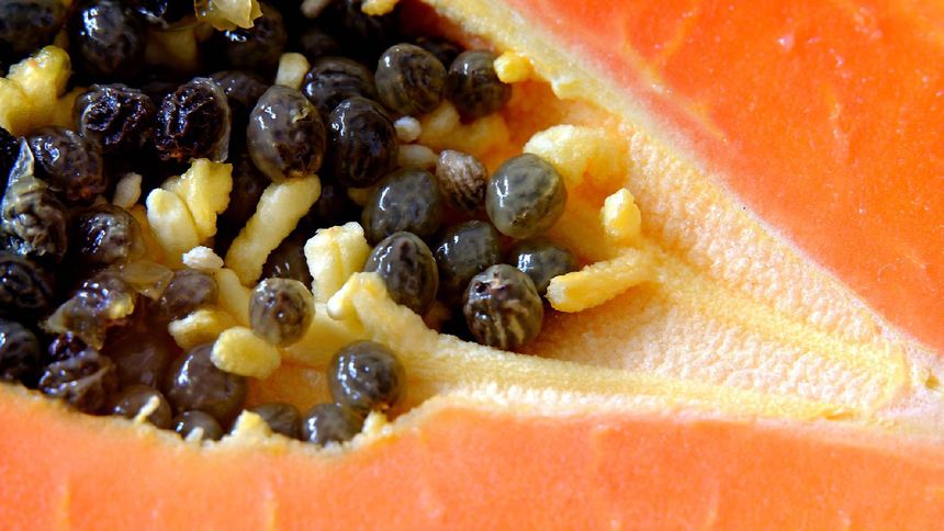 Ten owoc to bomba witaminowa 