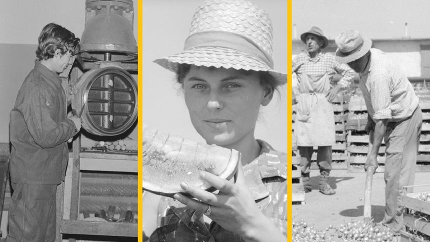 Quiz PRL - tak pracowali Polacy