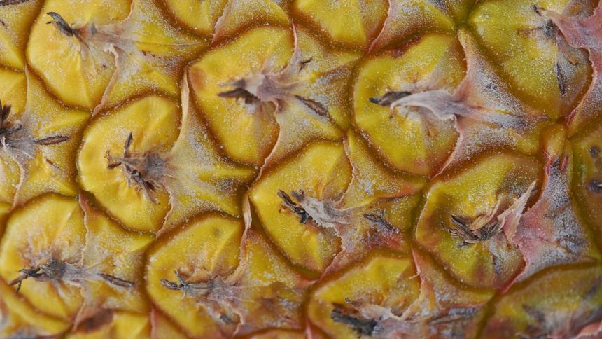 Ten owoc to witaminowa bomba. Polacy o nim zapominają