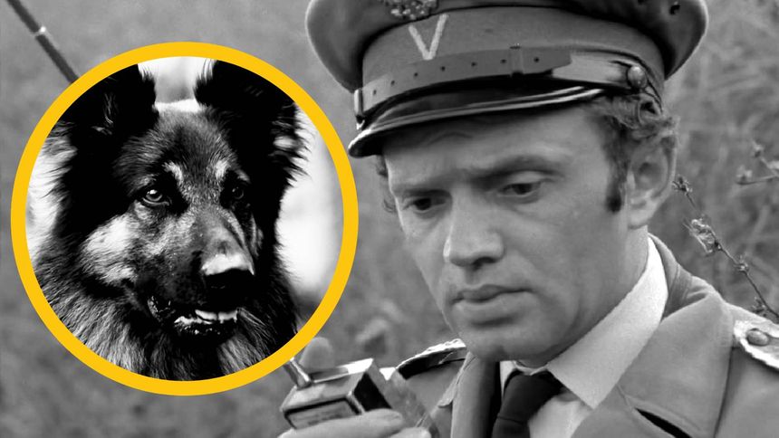 9 września wypada rocznica premiery "Przygód psa Cywila"