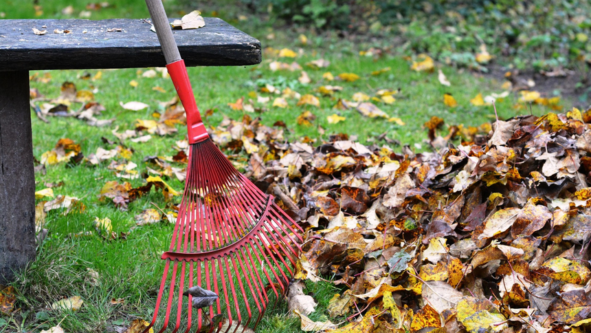 Prace w ogrodzie to w październiku obowiązek każdego miłośnika roślin