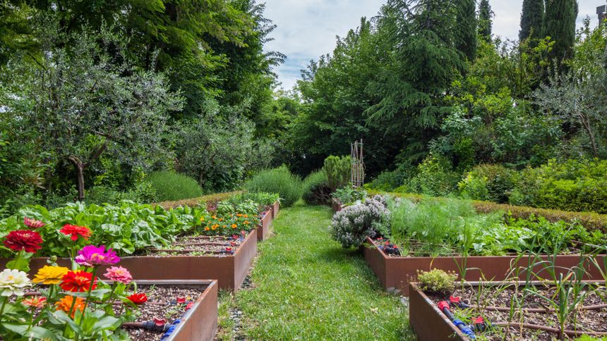 Nowy kuriozalny przepis od października