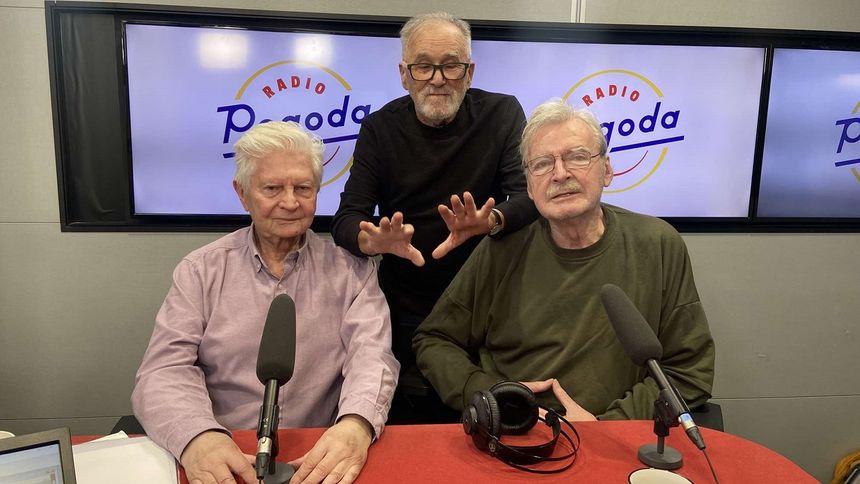 "Świnki Trzy" o najdziwniejszych przepisach prawnych. Taki rzeczy zabrania się na świecie