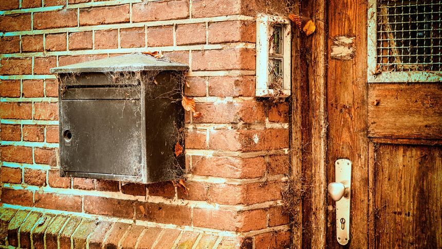 Połóż kasztany na parapecie, a przykry problem zniknie