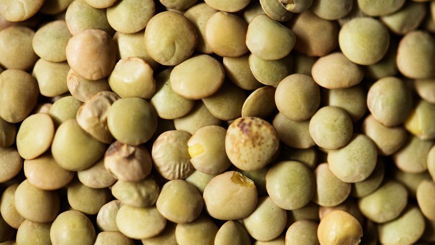 Groch to jeden z najtańszych i zarazem najzdrowszych produktów spożywczych