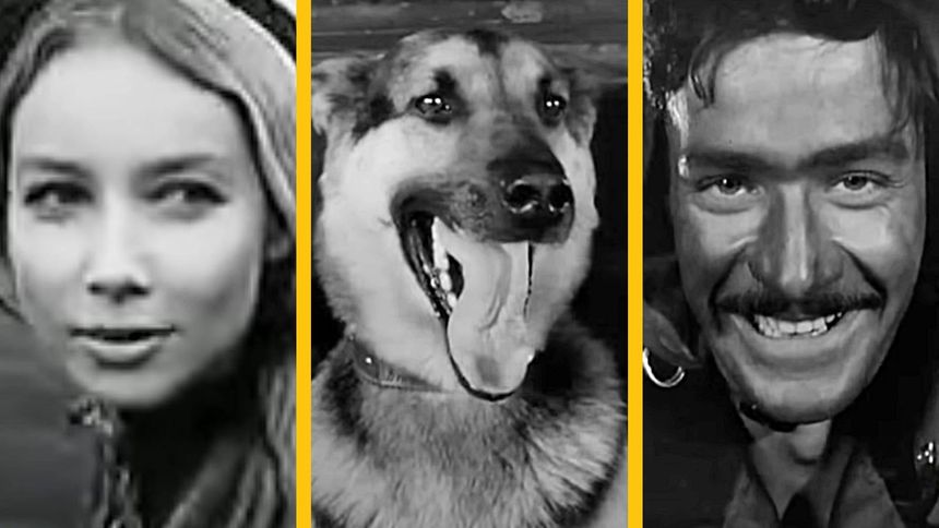 Quiz o serialu "Czterej pancerni i pies"