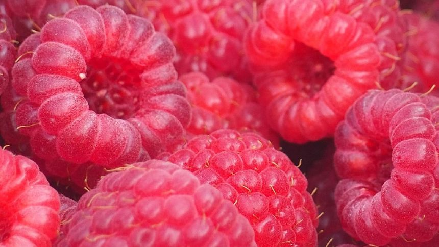 Te owoce są bardzo zdrowe