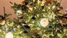 Stonowane barwy zawisły już na choince amerykańskiego prezydenta.