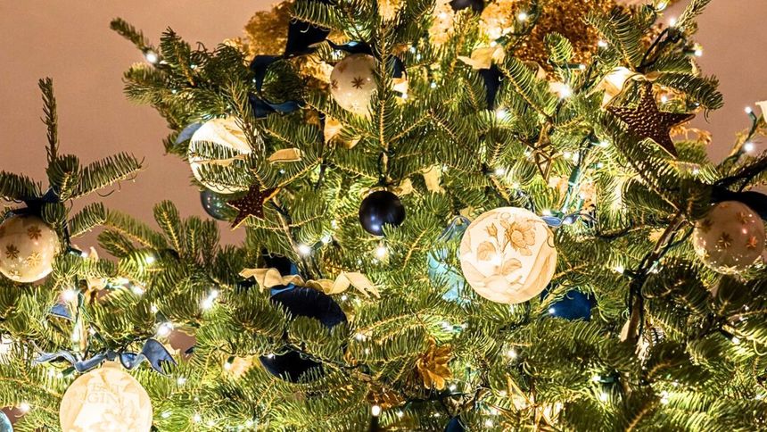 Stonowane barwy zawisły już na choince amerykańskiego prezydenta.