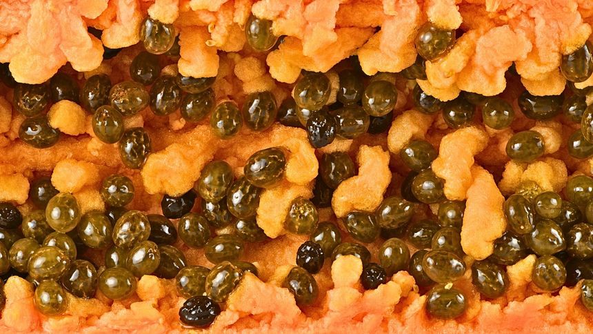 "Owoc aniołów" uleczy jelita