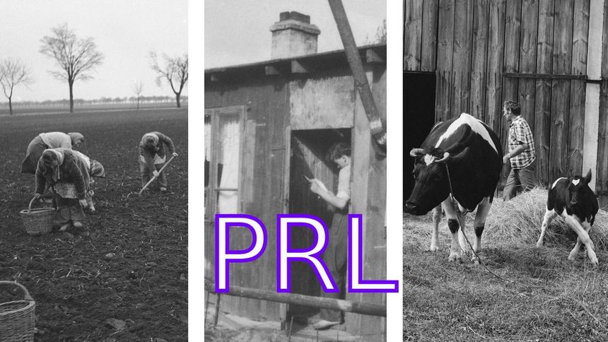 Quiz PRL o polskiej wsi. Jeśli jesteś z miasta, 13/20 będzie wyzwaniem