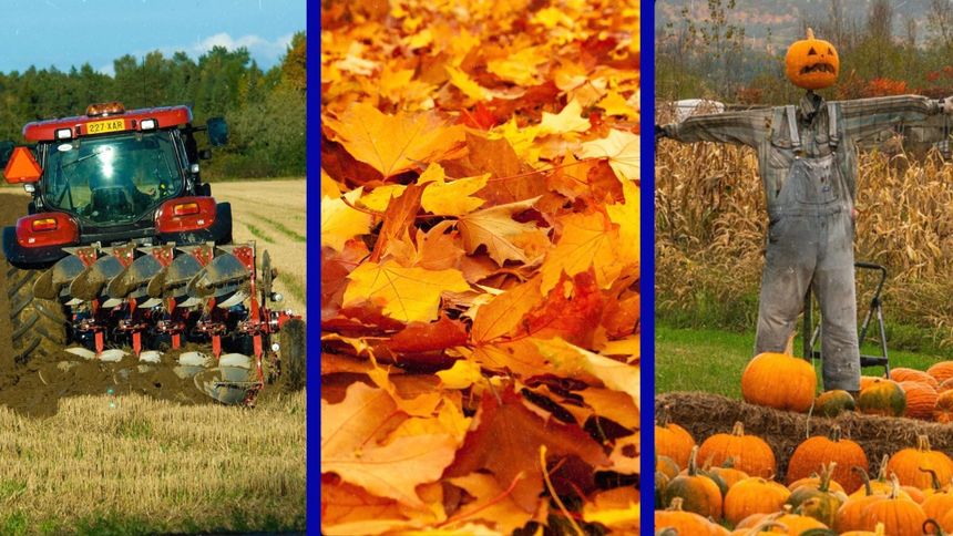 Quiz o jesieni - przysłowia