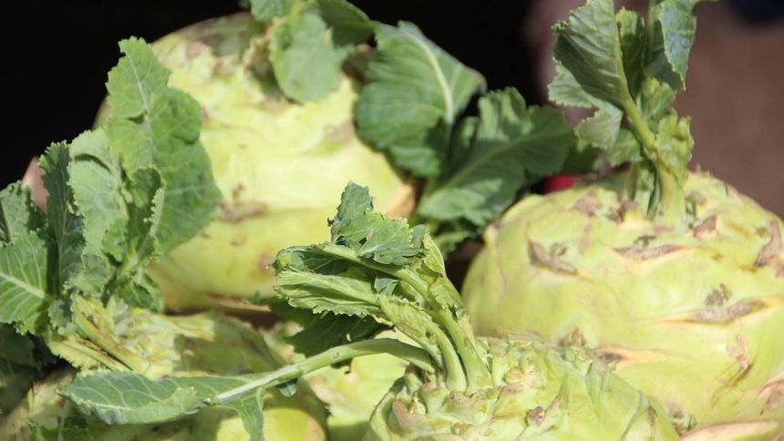 Przepis najlepszy na lato. Orzeźwiająca bomba witaminowa