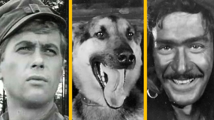 Quiz o serialu "Czterej pancerni i pies"