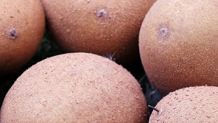 To bardzo zdrowy owoc