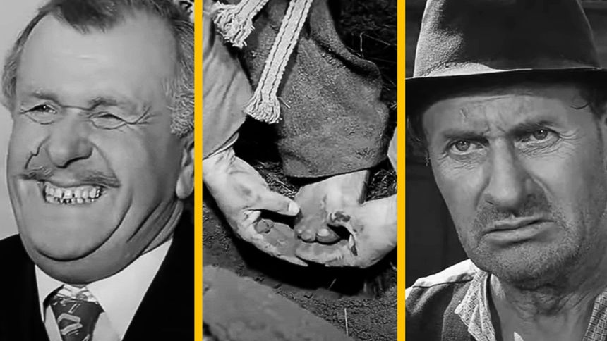 Quiz o "Samych swoich"