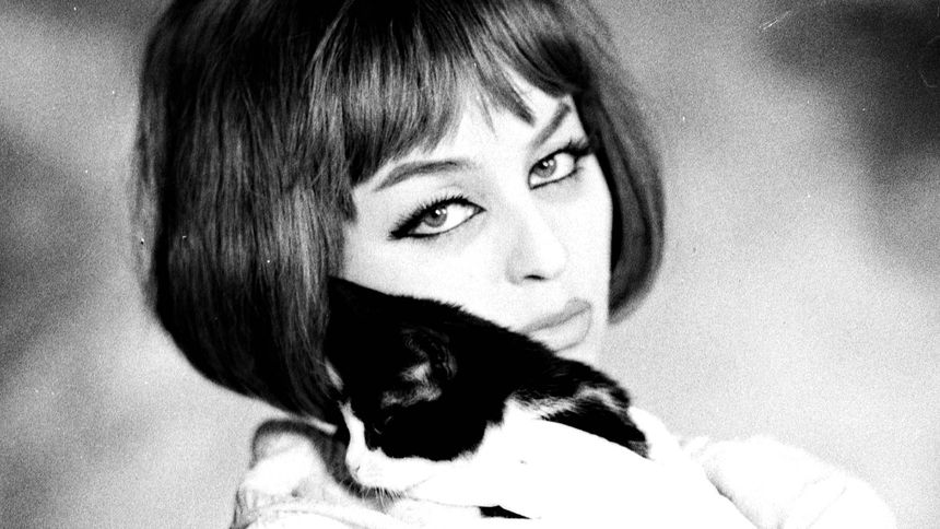 Historia piosenki "Nie, nie, nie budźcie mnie"