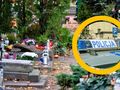Kary są dużo bardziej dotkliwe od pozyskania ozd&oacute;b z legalnego źr&oacute;dła.