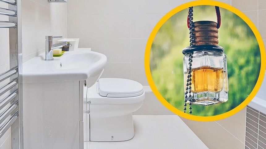 To domowy sposób na odświeżacz powietrza