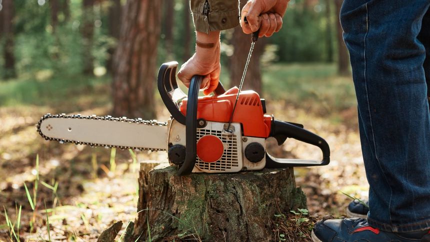 Zmiany ws. wycinki drzew. Oto, co musisz wiedzieć