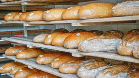 Gdzie wyrzucić torebkę po pieczywie?