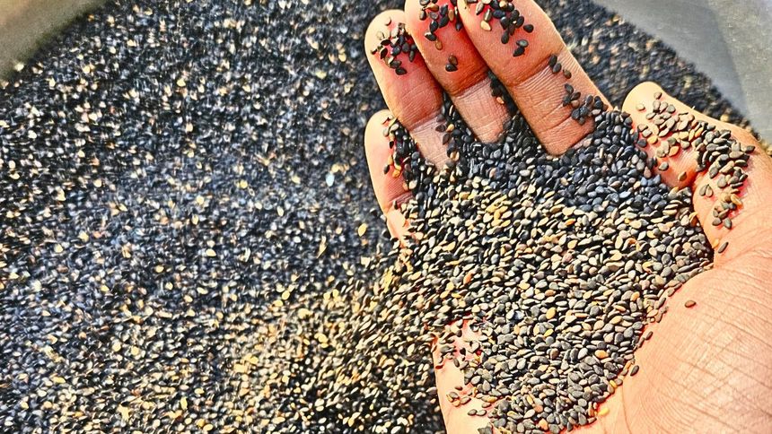 Te ziarna są niesamowicie zdrowe