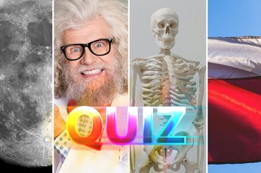 Quiz