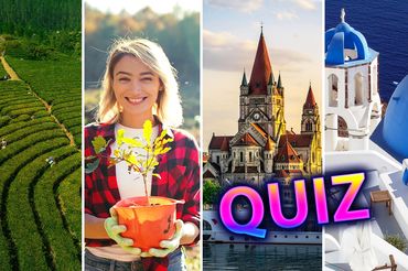 Quiz