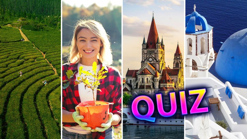 Quiz