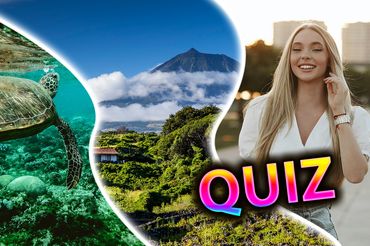 Quiz